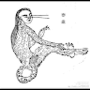 Meet your Posher, Jingjing